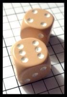 Dice : Dice - 6D Pipped - Brown Tan with White Pips - Sci Fi Game Store Orlando Feb 2011